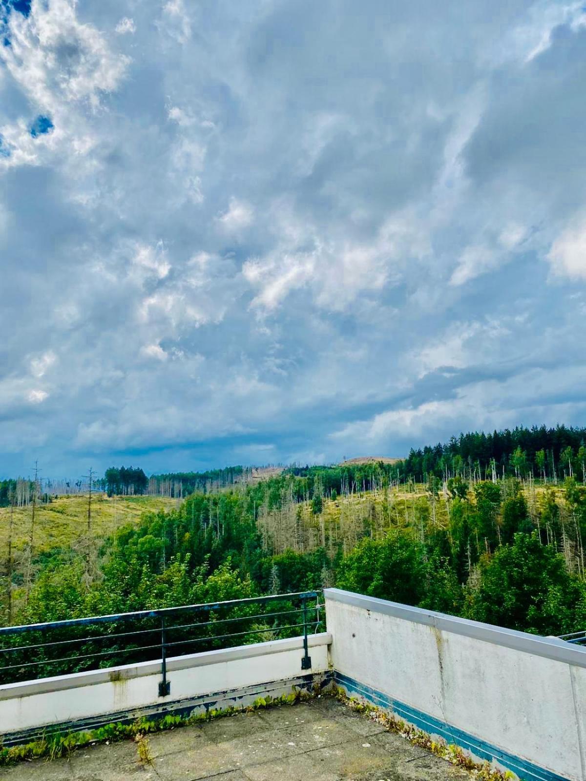 Terrassenhaus Im Harz, Pool, Sauna, Wlan Braunlage Eksteriør bilde