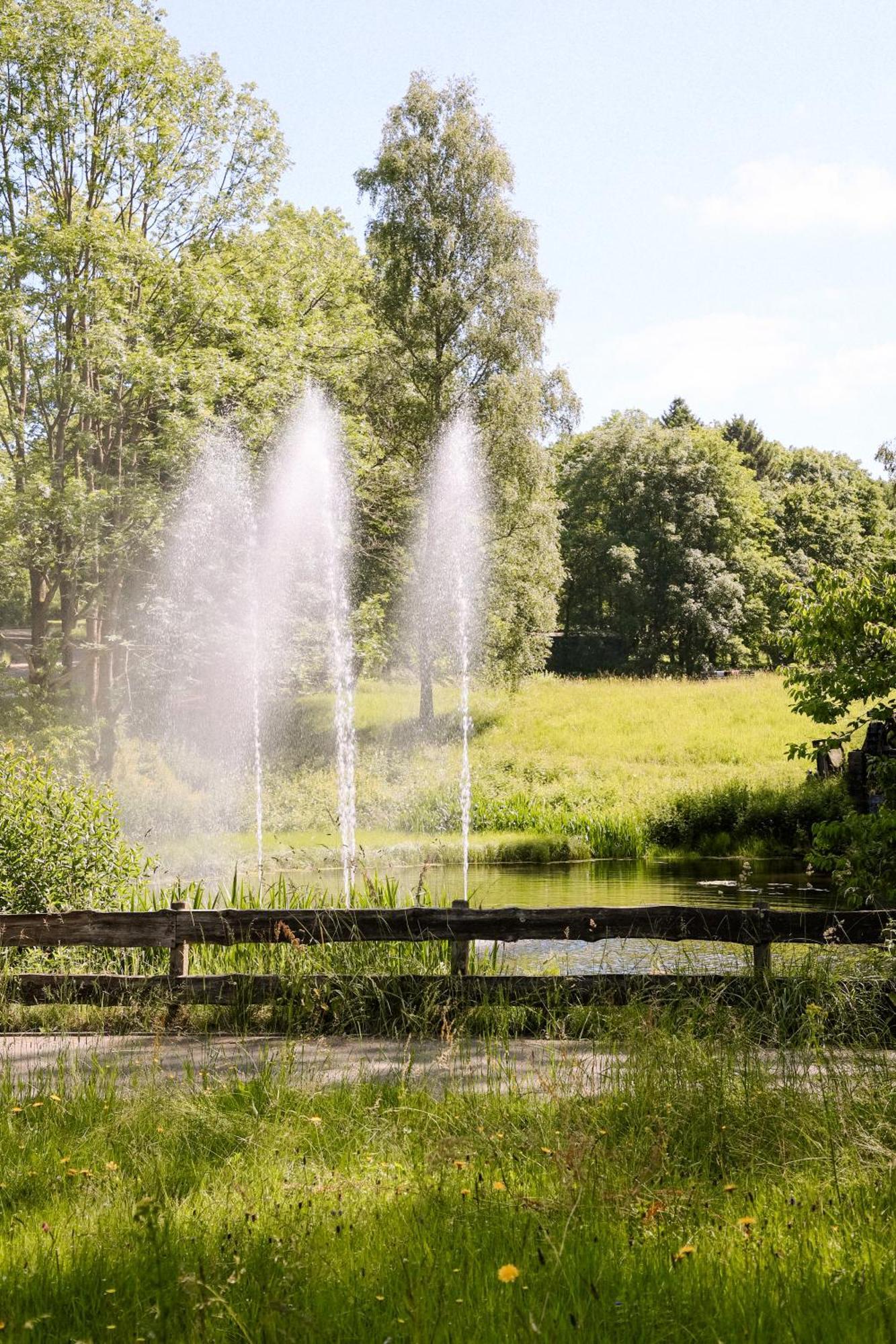 Terrassenhaus Im Harz, Pool, Sauna, Wlan Braunlage Eksteriør bilde